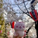 풍경공원 | [도쿄] 벚꽃 개화한 우에노 공원 벚꽃 축제 후기, 풍경 (도쿄 우에노역)