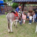 당나귀숲 이미지