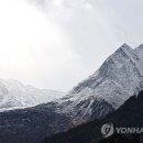 알프스