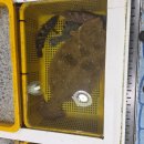 인월상회 이미지