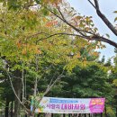 냉천공원 이미지