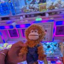 대빵인형뽑기 연남점 이미지