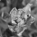기분전환 - 서구 탁옥로 96 | 기분전환