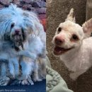 견생공감 이미지