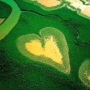 삼산공인중개사사무소 이미지