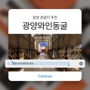 광양기념품 | 광양 와인족욕까지 즐긴 광양와인동굴 솔직후기! 와인은 사지 마세요
