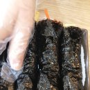 김밥몽땅 네이버블로그