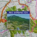 참빛공인중개사사무소 이미지