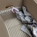 블레스블룸 | 인테리어화분 블레스블룸 도자기 세라믹 화분 후기