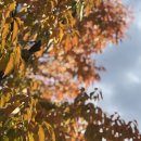 잠실119안전센터 | [인테리어] 오픈하우스 수원, 수원소방서 이의119안전센터 후기