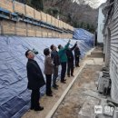 화이트빌 이미지