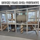 쁘띠놀무인키즈카페