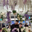 중앙대로2L 이미지