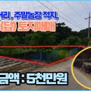 옥천 공인중개사사무소 이미지