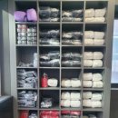 포커스짐 이미지