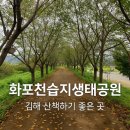 화포천생태습지공원 | [나들이 기록] 화포천 습지생태공원 김해 산책하기 좋은 곳