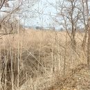 펫타운 티스토리