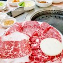 보성식육식당 | 울릉도 보성식육식당 독도 다녀온 날, 칡소 숯불구이로 마무리!