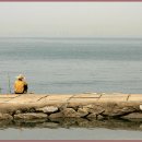 농어바위 이미지