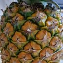 대백마트(김천혁신점) 이미지