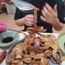매일낙지 이미지