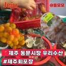 우리시장 | 제주 동문시장에서 우리수산에서 회포장 후기