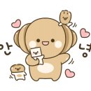 이반퓨처 이미지