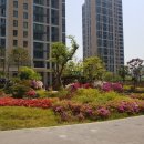 한숲 무지개 어린이공원 이미지