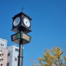 고잔공원 | 안산살이 19년차 리니의 고잔신도시 호수동 살아본 솔직후기 ✔️ / 안산은 이게 일상이야