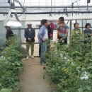 김기성 농장 이미지