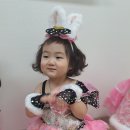 천사들의 작은 발표회 Daum카페