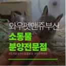 와우펫앤쥬 부산점 | 부산 다양한 소동물 분양 전문점 와우펫앤쥬 부산점