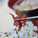 김밥지존 Daum카페