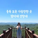말티재관문 주차장 공중화장실 | 충북 보은 가볼만한 곳 속리산 말티재 전망대 드라이브 코스 추천