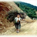 꽃피는산골 이미지