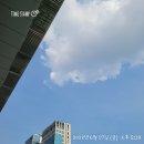6월 3째주 블챌, 일주일간 이렇게(생산자의 마음, 블루베리, 살구)