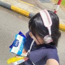 싱가포르 후기 혼자 잘 다녀왔어요 ^^b 유니버셜 패스 굿