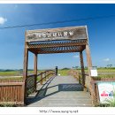 태평태양광발전소 이미지