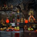 고양이천국 이미지