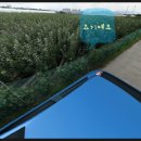 삼주농장 이미지