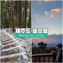 제주도 솔오름 미악산 해돋이등산코스 떡국나눔 행사
