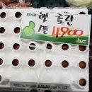 총각네수지 이미지