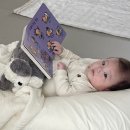 방배천로24길 31 이미지