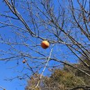 대명환경폐기물 이미지