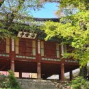 카페꽃다원 | [강화도] 전등사 카페 죽림다원 & 길상석갈비 후기