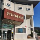 진도개 53카페 이미지