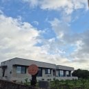 자파리203 이미지