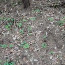 소쿠리농장 이미지