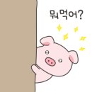 청년순대국 이미지