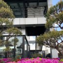 강남-271 이미지